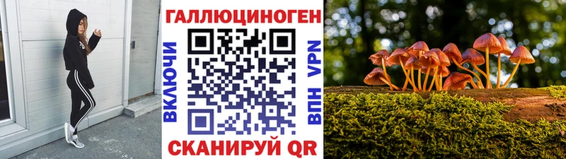 Псилоцибиновые грибы Psilocybine cubensis  Купить где  Мирный 